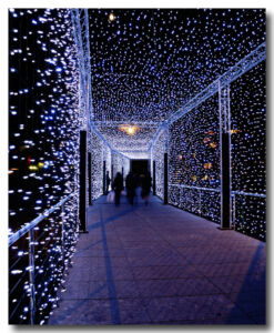 P01-2006_1101-Quai_Seujet-04