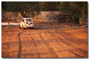 P01-2007_0801-Puglia-035