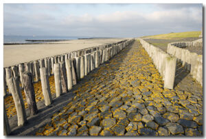 P01-2010_0612-Karin_Bday-06