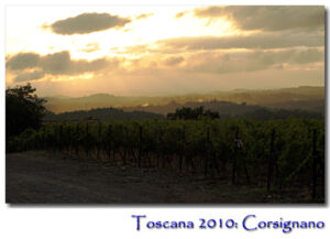 P01-2010_0807-TO_08_Corsi-03