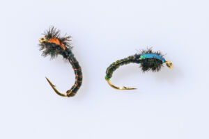 P06-2011_0618-Mouches-01